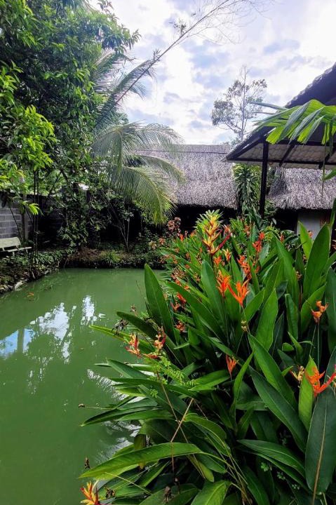 Chau Thanh House | Phuc Sinh Homestay