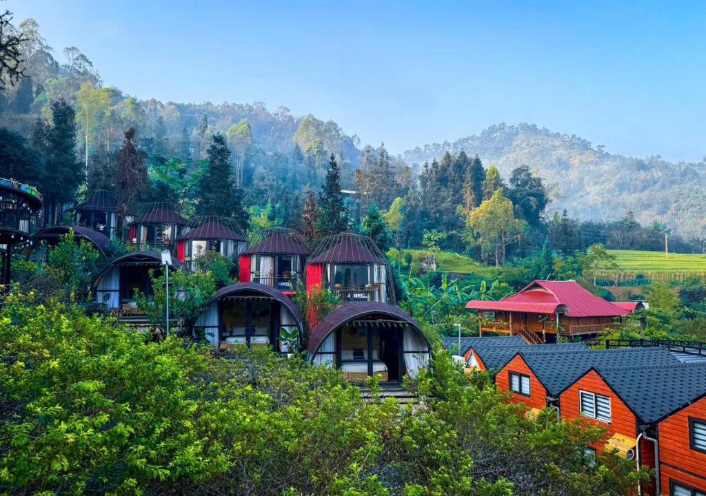 Dong Van Resort | Plum Hillside Lodge