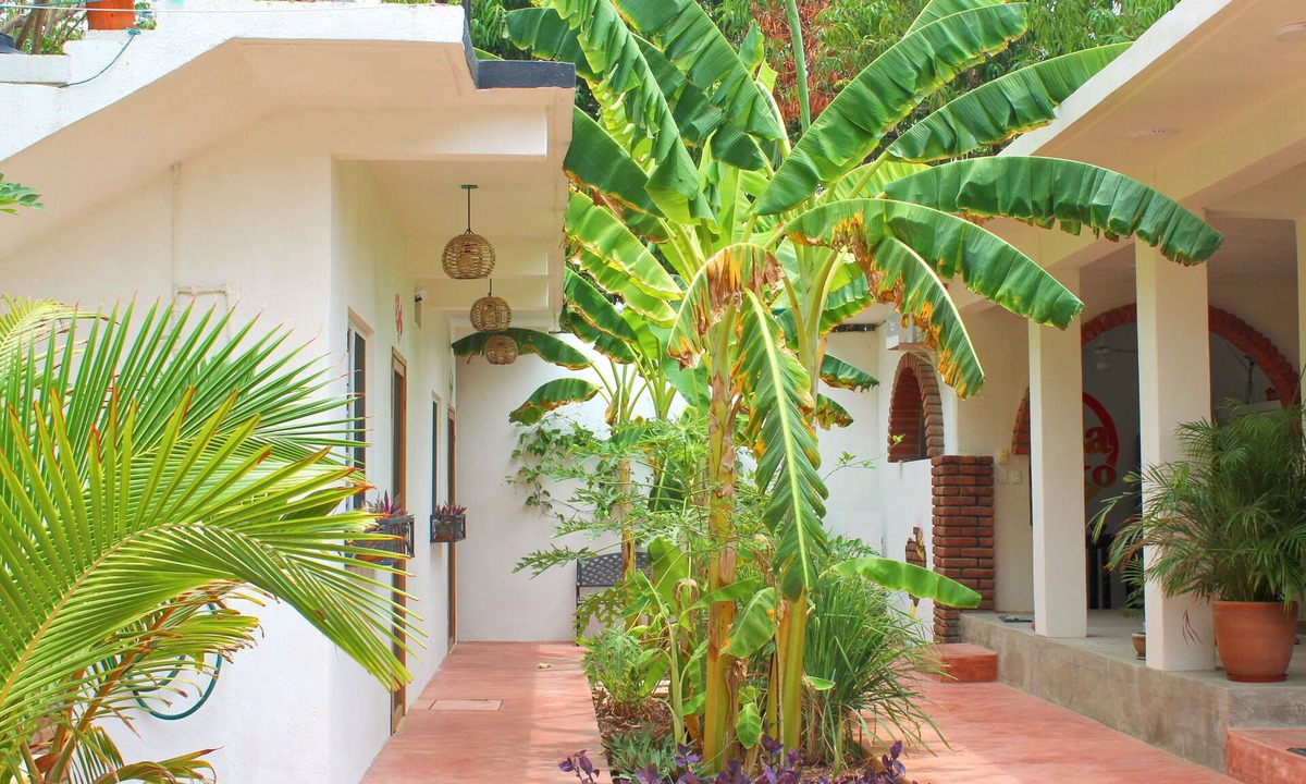 Puerto Escondido House | Private Villa! - Steps to Beach and Market - King beds - Pet friendly!