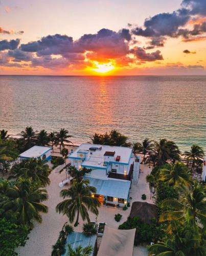 El Placer House | Pronoia Casa de Playa