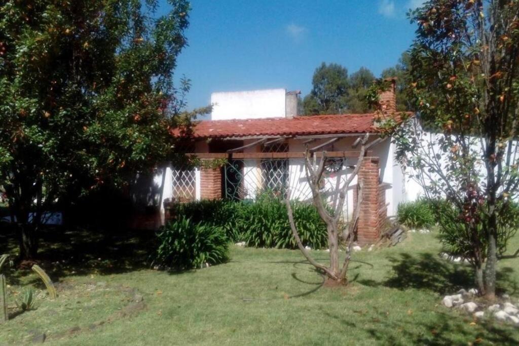 Bucio House | Rancho El Conejo