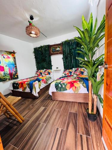 Playa Chachalacas Hotel | Refugio de las Aves