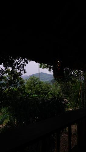Cao Phong House | Ruộng coffee and homestay