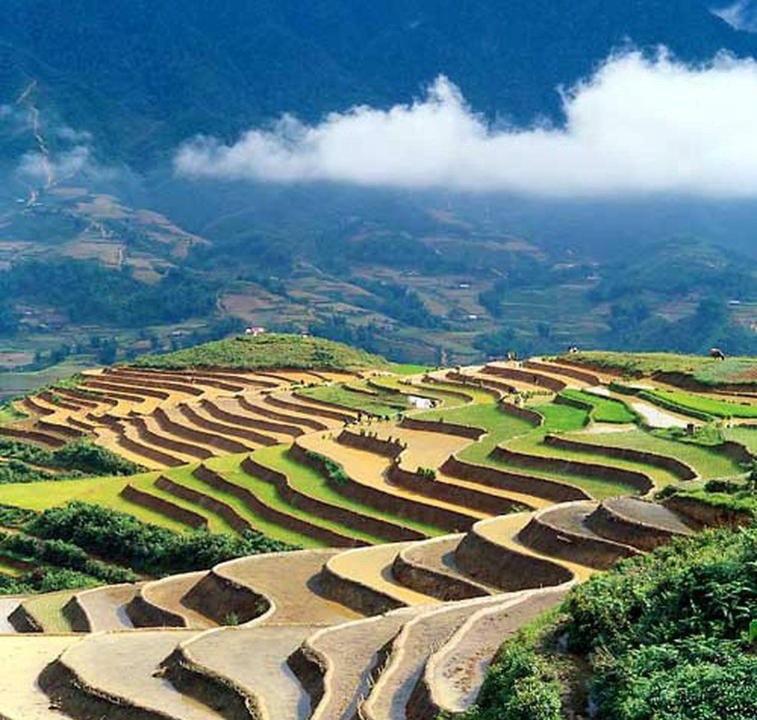 Lao Cai House | Sapa Homestay Trekking Tour For Backpackers