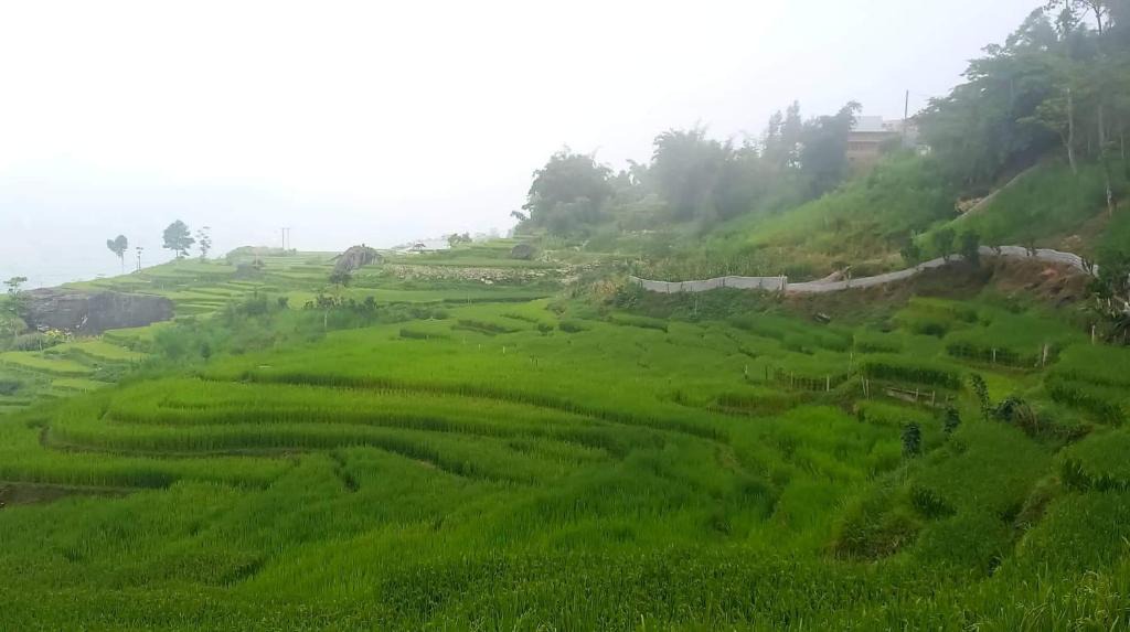 Sa Pa Bed & Breakfast | Sapa Mushroom Homestay