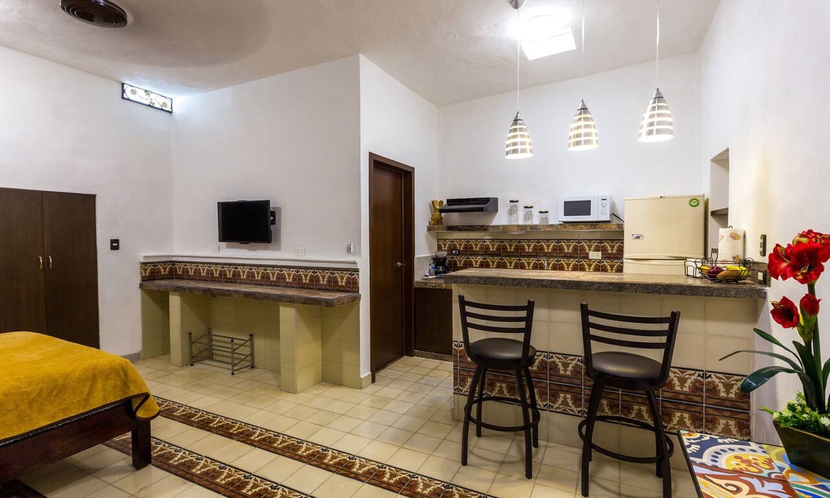 Centro Apartment | Studio w/shared plunge pool, Netflix, etc. .9 mi. from central sq.