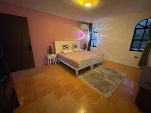 Merida Apartment | Suite Estrella Vietnam