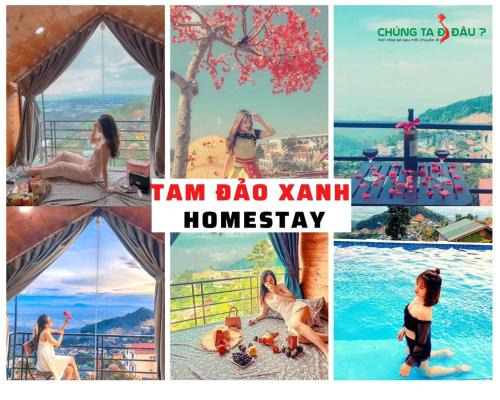 Tam Dao House | Tam Đảo Xanh Homestay - Venuestay