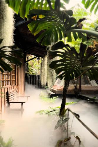 Bao Loc House | Thỏ Non Garden - Bảo Lộc Center 02