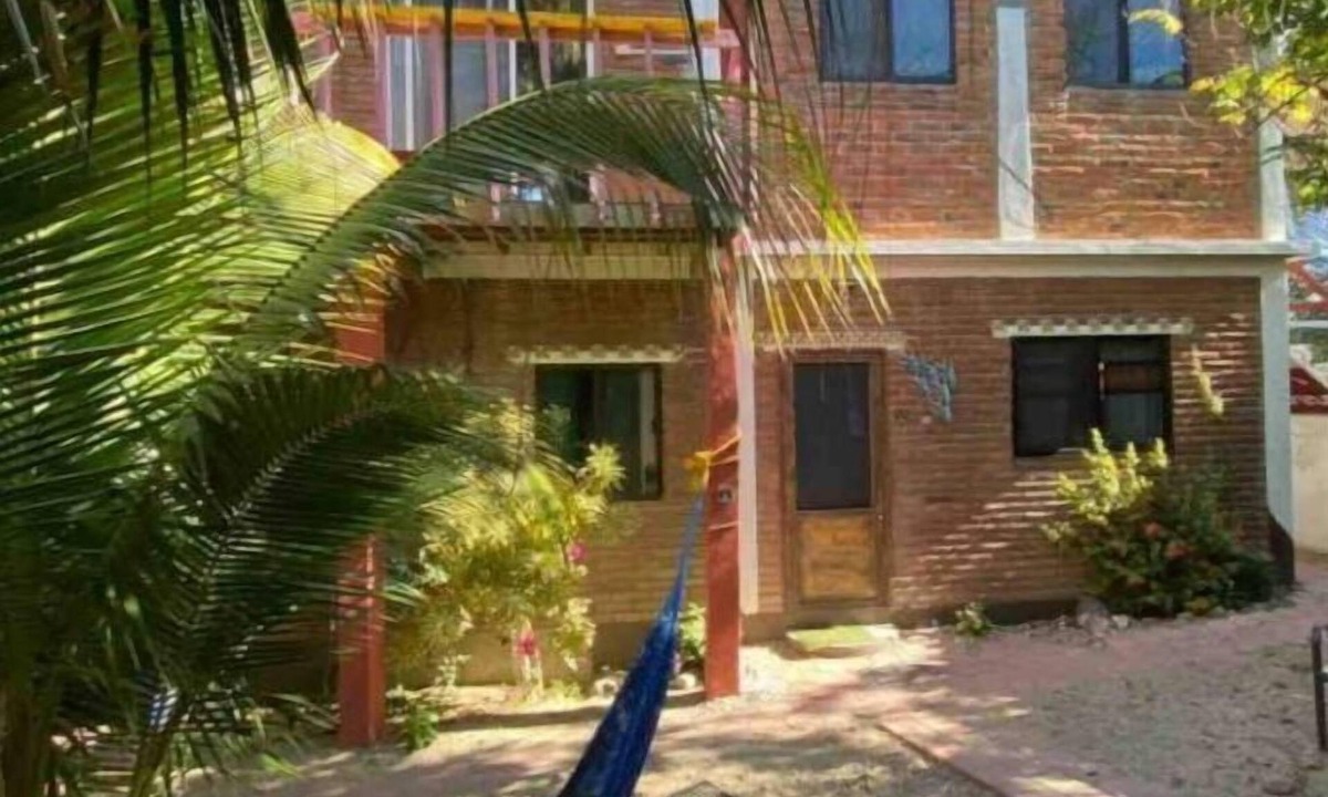 Ildefonso Green House | The Sunflower House, Downtown Cabo