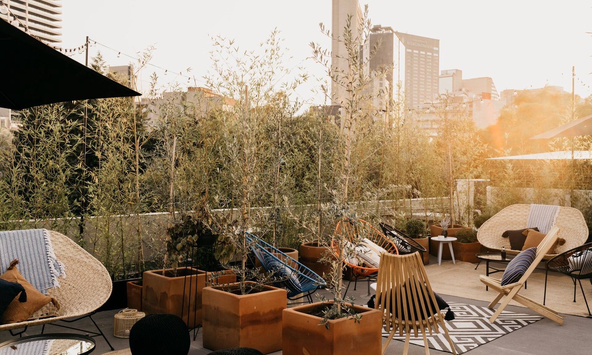 Polanco Hotel | The Wild Oscar