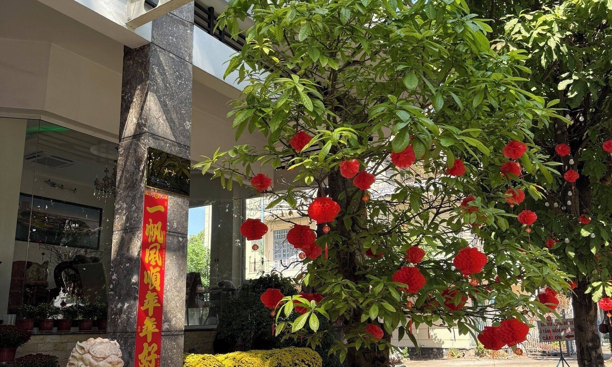 Thu Dau Mot Hotel | Thien Ha Hotel
