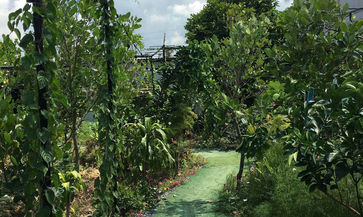 Cai Be Hostel | Thu Huynh Homestay - Hostel