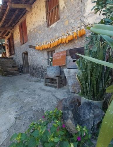 Trung Khanh Apartment | Trieu Hoan homestay