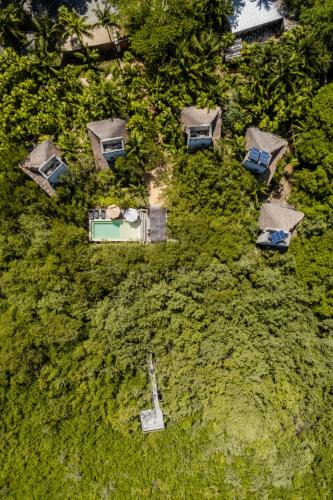 Zona Hotelera Cabin | Vida Silvestre Tulum