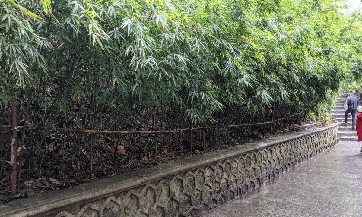 Uong Bi Hotel | Yen Tu Boutique Zen Garden