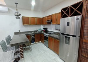 PALMAS DE CHAHUE 4 (474 SF)