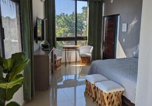 Villas Pura Chacala