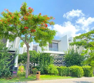 Oceanami Villas Beach Club At 