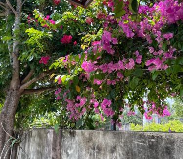 Phu Cat House | Ánh Dương Local Mini Tour