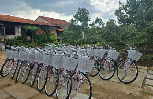 Long Ho House | Út Bình Homestay