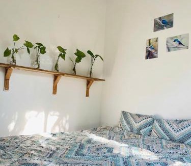 Son Tay House | Đường Lâm Homestay - Elephant's House