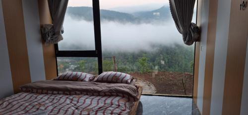 Kon Plong Cabin | Đỉnh Phong Homestay Săn Mây Măng Đen