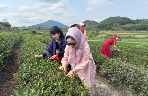 Ngoi Tu House | Đức Tới Farmstay