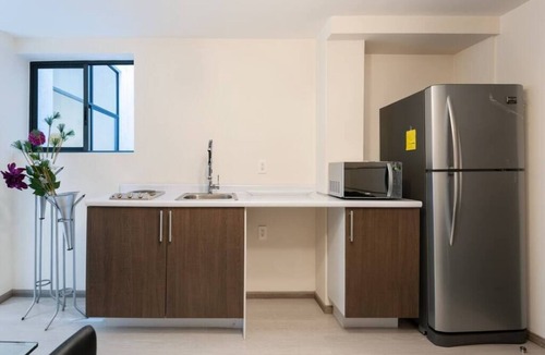 Benito Juarez Apartment | 2 Bedroom Long term home, office, vacation CDMX