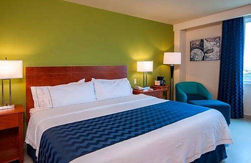 El Tezal Hotel | 3-Star Hotel ∙ Holiday Inn Express Cabo San Lucas