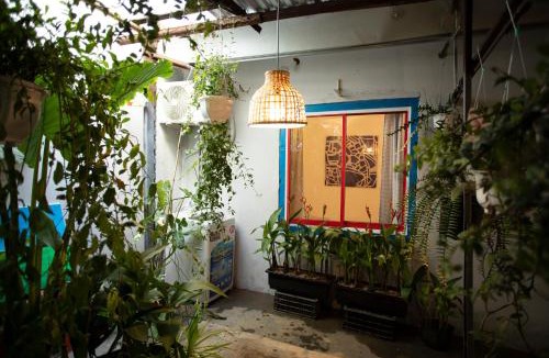 Hai Chau House | 88 ngày là tới HOUSE - 88 days to go HOUSE