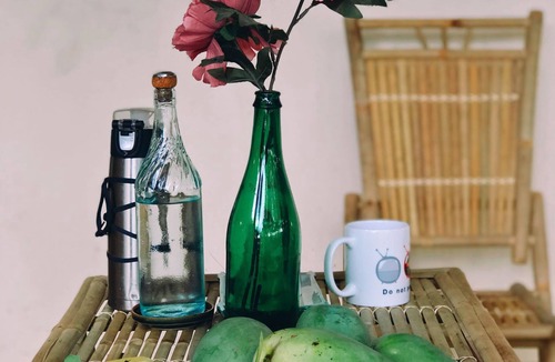 Ninh Hai House | A homey homestay in a typical Vietnamese countryside, lovely price.
