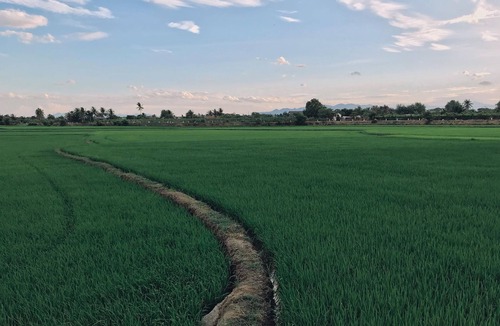 Ninh Hai House | A homey homestay in a typical Vietnamese countryside, lovely price.