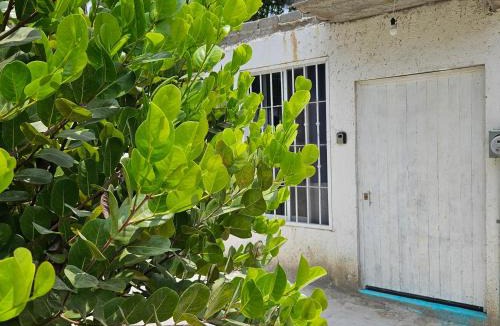 San Jose Ixtapa House | Alojamiento Turquesa