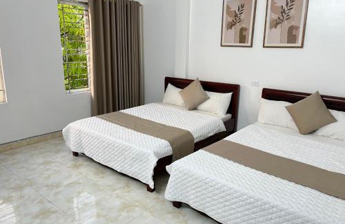 Cua Lo Hotel | An Phú Stay & Coffee