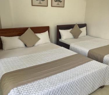 Cua Lo Hotel | An Phú Stay & Coffee