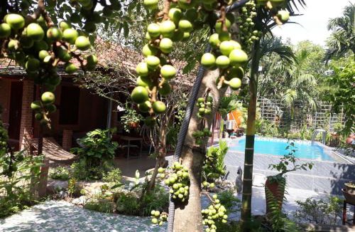 Ninh Binh House | An Phu's Garden House