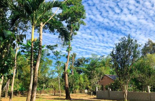 Nam Cat Tien Hotel | An Tiên Ecolodge