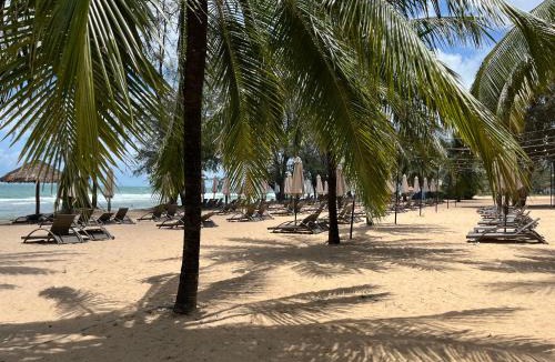 Ganh Dau Hotel | Arcadia homestay