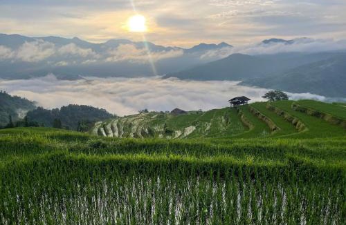 Thong Nguyen House | Bình Minh homestay