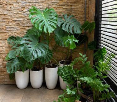 Tan Binh Apartment | B786 Airport Apartment