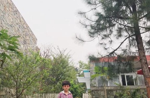 Ngoc Quang Villa | Bach Thanh F12 Flamingo Dai Lai Resort