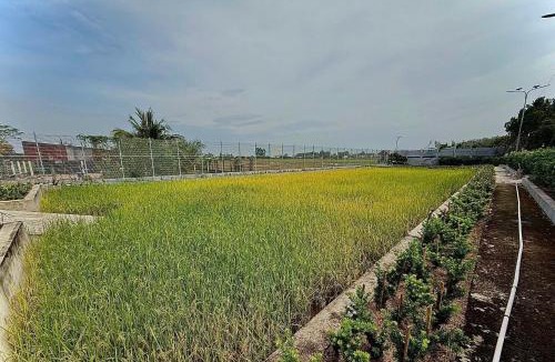 Cu Chi House | Bao Ong Thien Retreat - Khu Nghỉ Dưỡng Bào Ông Thiền