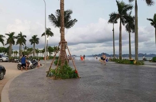 Ha Long Apartment | BAY VIEW Homestay