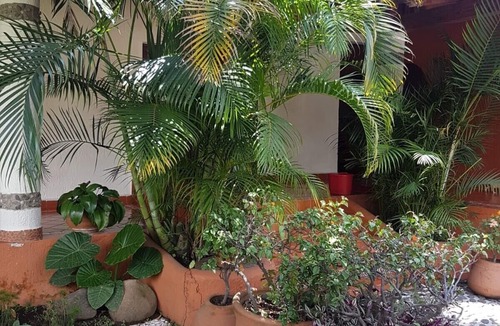 San Guillermo Cottage | Beautiful country house in the magical town of Malinalco