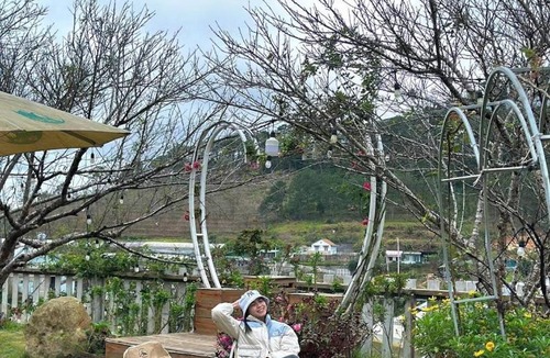Phuong 10 House | BIKA Farmstay and Camping