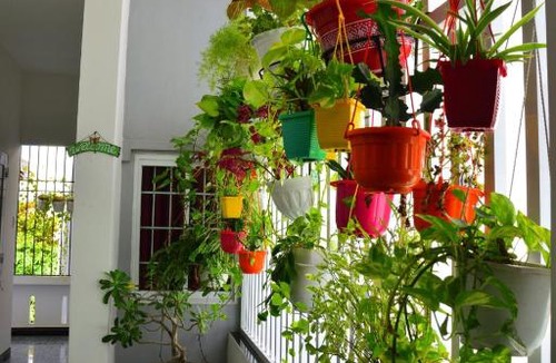 Tuy Hoa House | Blossom Homestay