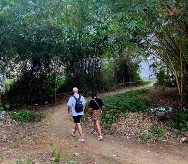 Cam Pho Bed & Breakfast | Blue Tropical House Hội An