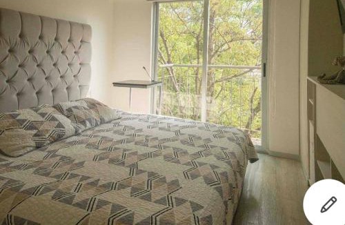 Miguel Hidalgo Apartment | Bonito departamento Ciudad de México