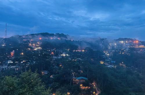 Da Lat Cabin | Cú Trên Cây Homestay